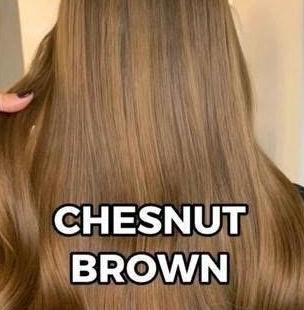 Champú cubre canas 3 en 1 🔥